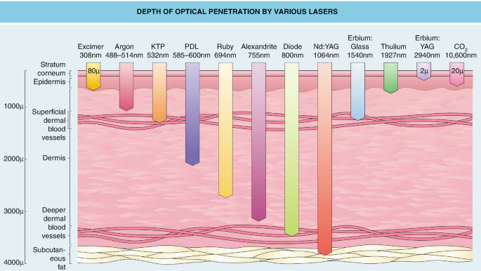 484918_1_En_1_Fig25_HTML